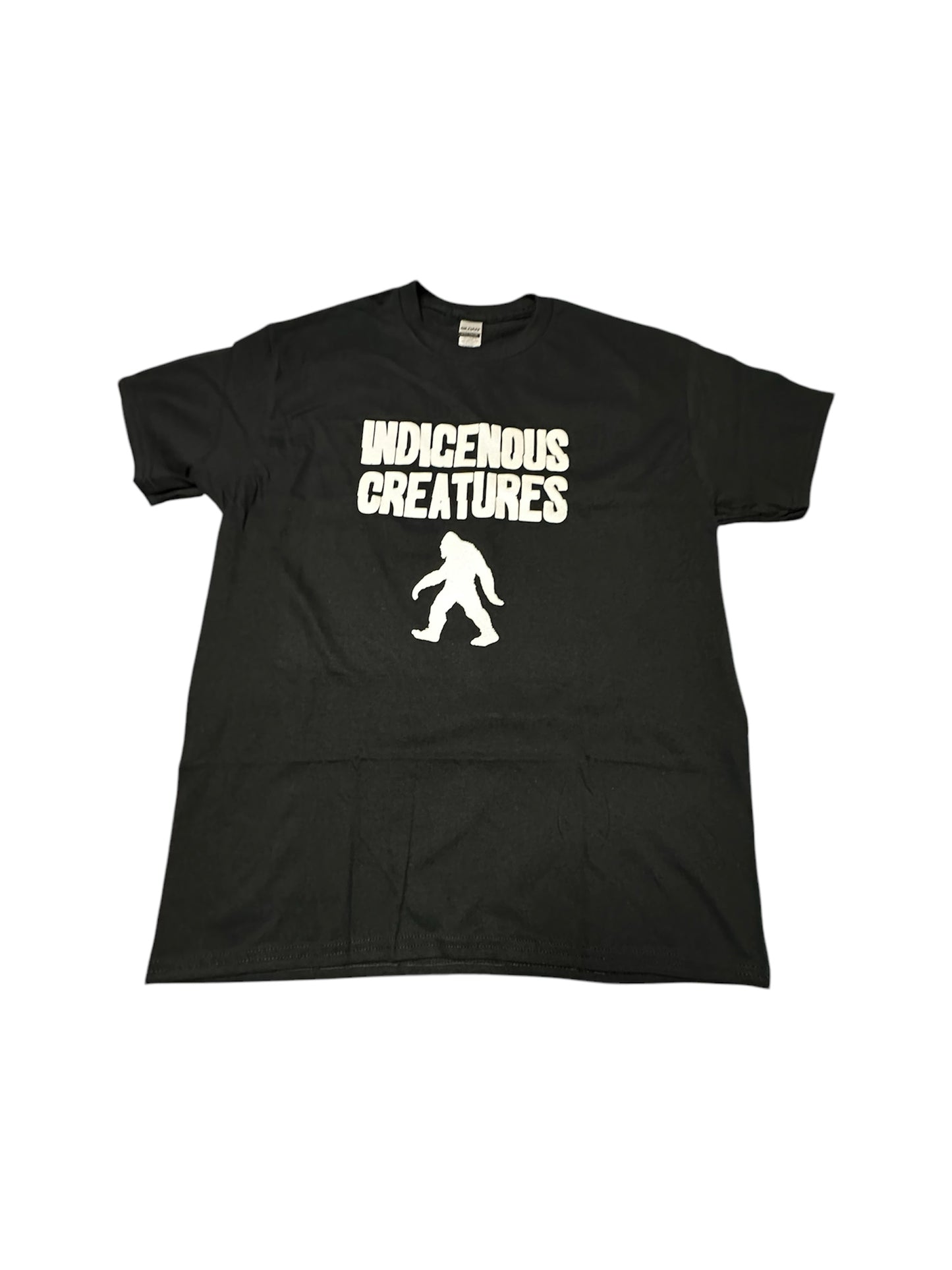 Indigenous Creatures